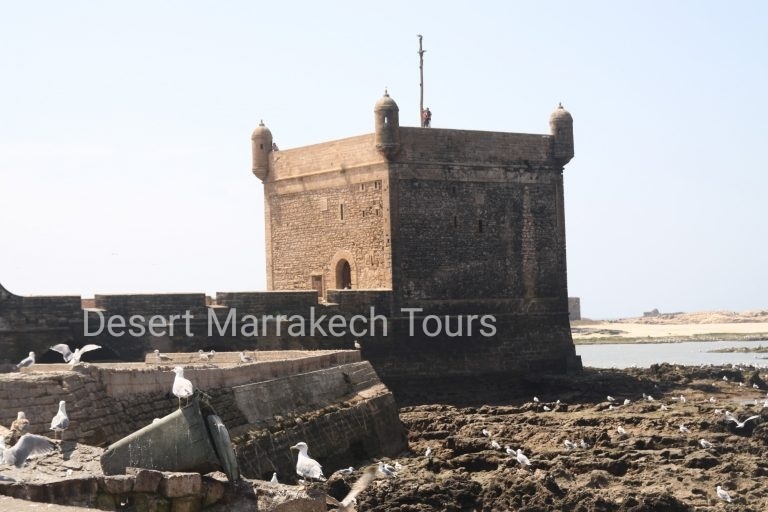 One Day Trip From Marrakech To Essaouira