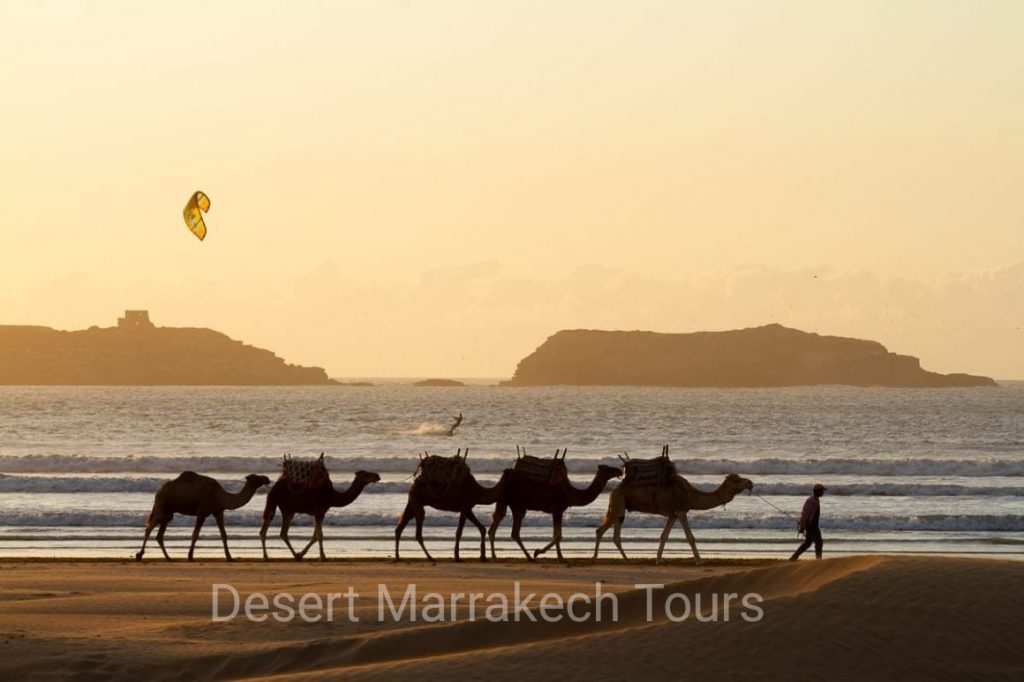 One Day Trip From Marrakech To Essaouira