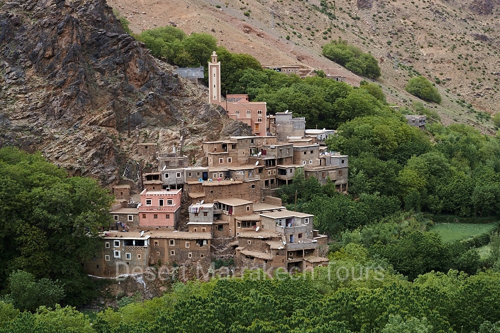 Day Trip To Ourika Valley From Marrakech