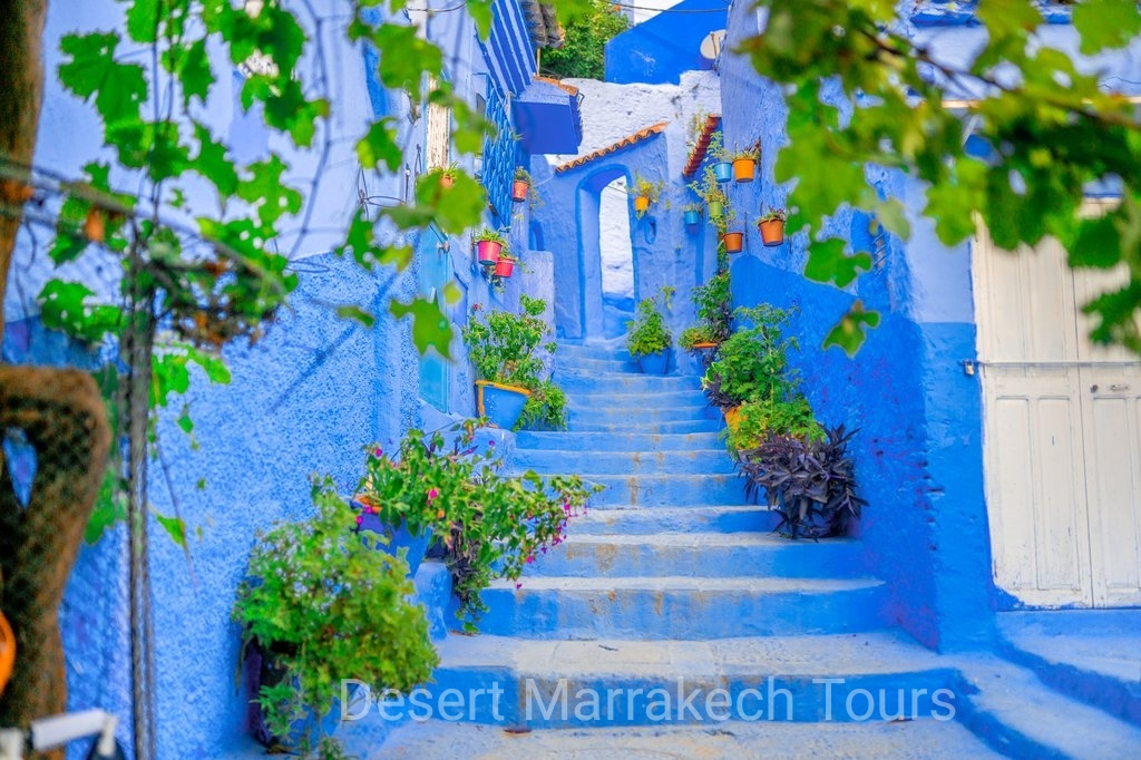 One Day Trip From Fes To Chefchaouen
