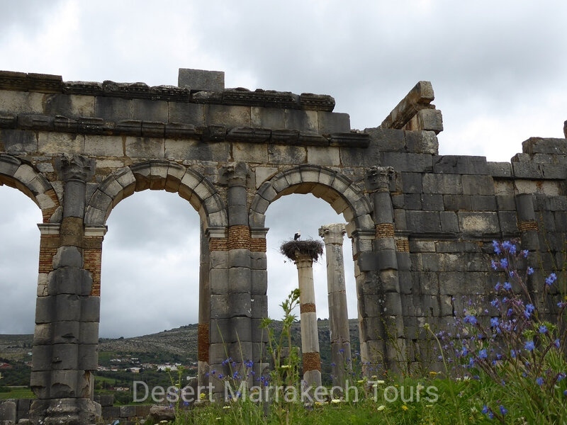 One Day Trip Fes to Meknes Volubilis