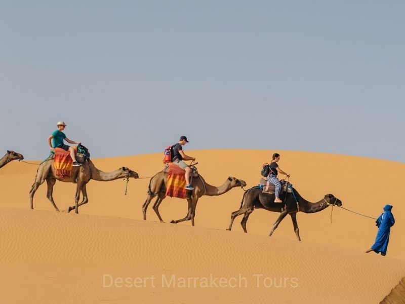 Camel ride in the desert of Morocco