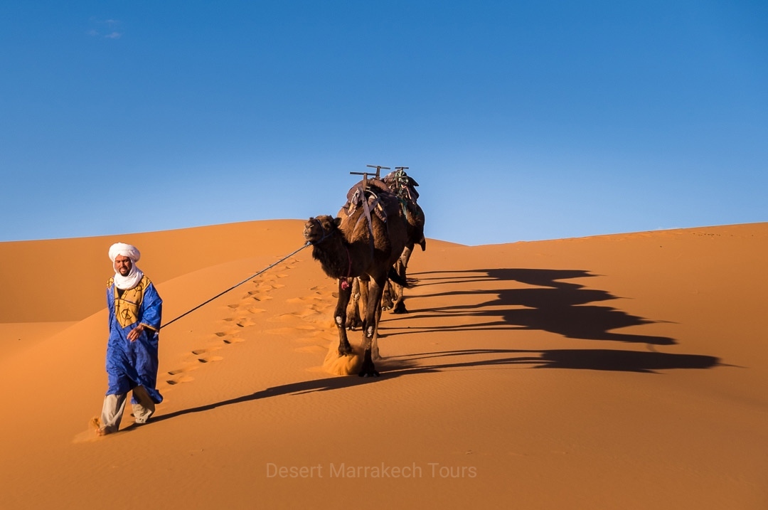 Fes Desert Tours 2 Days To Merzouga