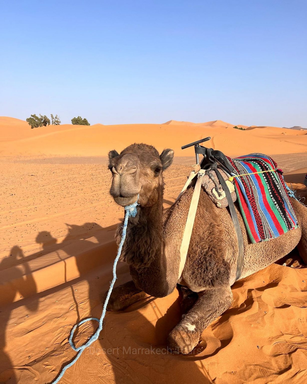 6 Days Tour From Tangier To Marrakech via Sahara desert