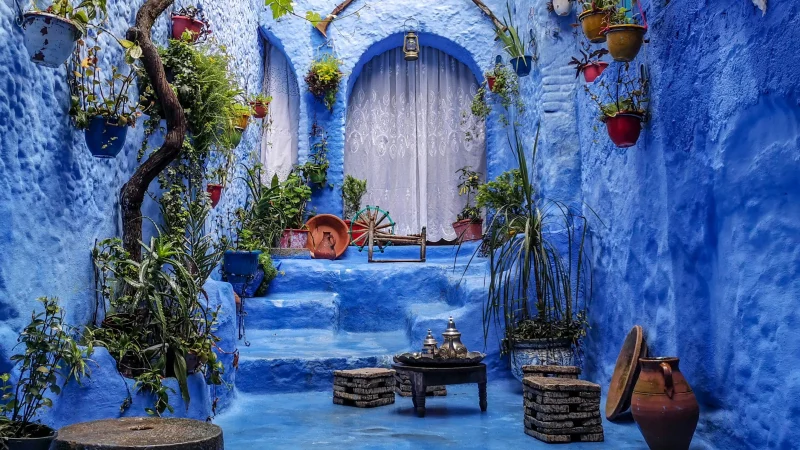 Blue-painted alleyway in Chefchaouen with stairs and colorful flower pots