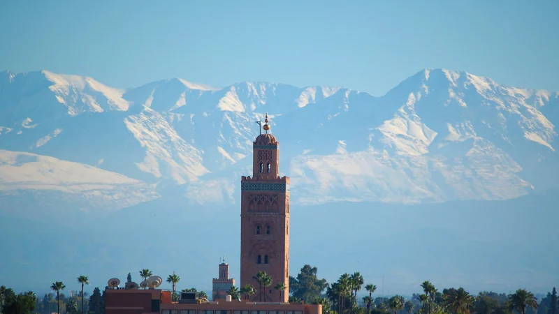 The Koutoubia Mosque in Marrakech with the snow-covered Atlas Mountains in the background, framed by palm trees and traditional Moroccan architecture.