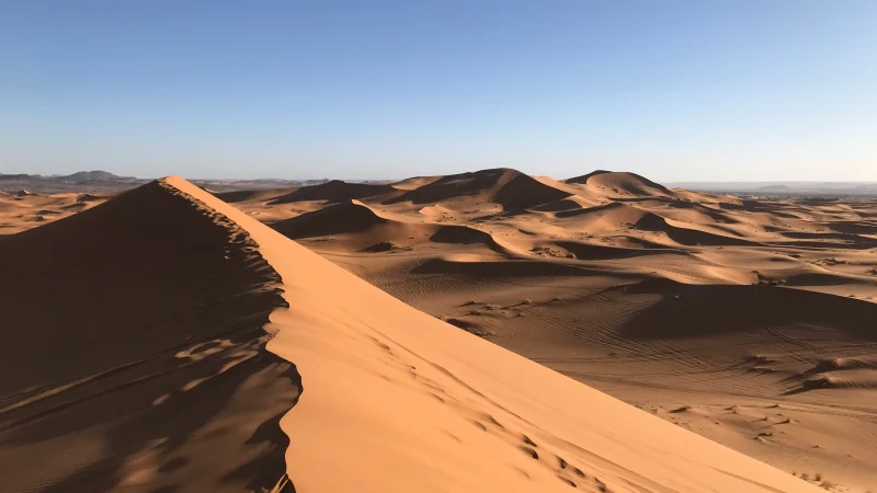 Rolling sand dunes in the Merzouga desert under soft sunlight.